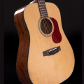 Spruce_Top[1].png