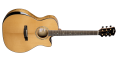 Gold Edge.png