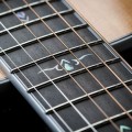 thumb-Gold8EbonyFingerboard_420x420[1].jpg