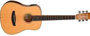 TANGLEWOOD TRX2 E