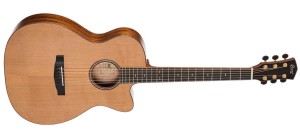 CORT FLOW OC NS W/CASE