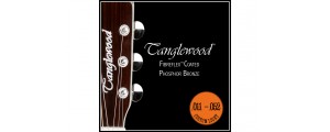TANGLEWOOD TWGS 11
