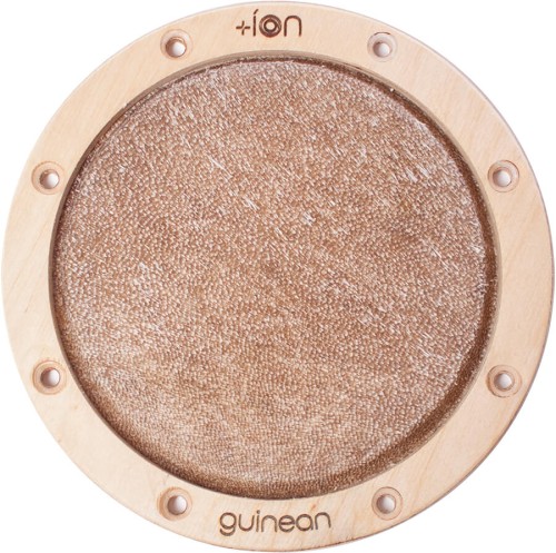 ion-guinean.jpg