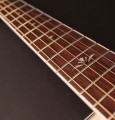 GA-FF%20inlay[1].jpg