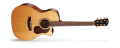 Gold_A6[1].png