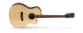 GA-MEDX[1].png