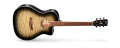 GA-QF(TBB)[1].png