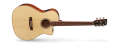 GA-FF(NAT)[1].png