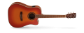 AD890CF(LVBS)[1].png