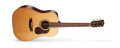Gold-D6_main[1].png