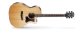 GA5F-BW(NS)[1].png